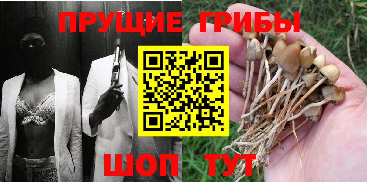 как найти закладки  Вход с VPN  Галлюциногенные грибы Magic Shrooms  Златоуст  Галлюциногенные грибы Magic Shrooms 