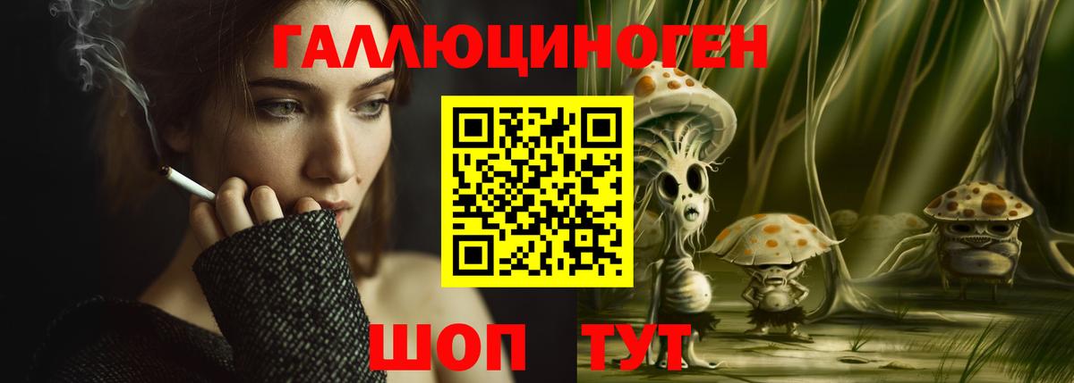 Галлюциногенные грибы Psilocybine cubensis Златоуст
